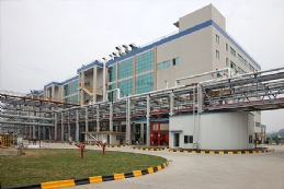 Active Pharmaceutical Ingredient Plant